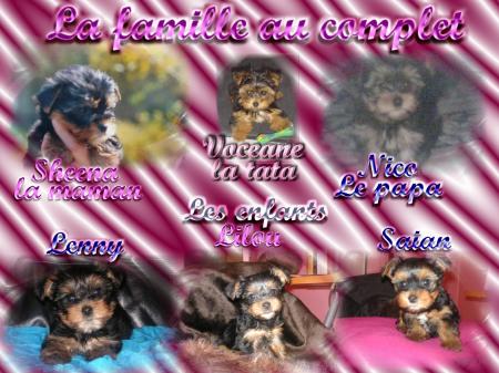 La famille au complet