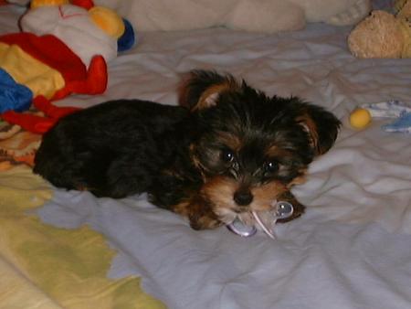 Lenny mon GRand frere