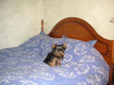 Me voici!!!